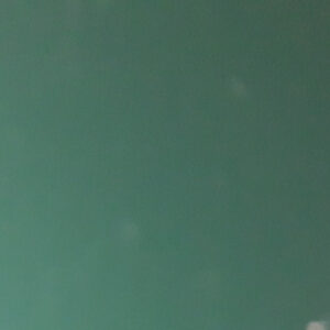 Гладкий лист 0,45 мм RAL 6005  Алюцинк із полімерним покриттям